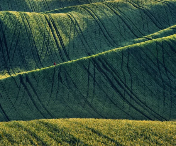 Turista Gode Del Paesaggio Rurale Colline Terreni Agricoli — Foto Stock