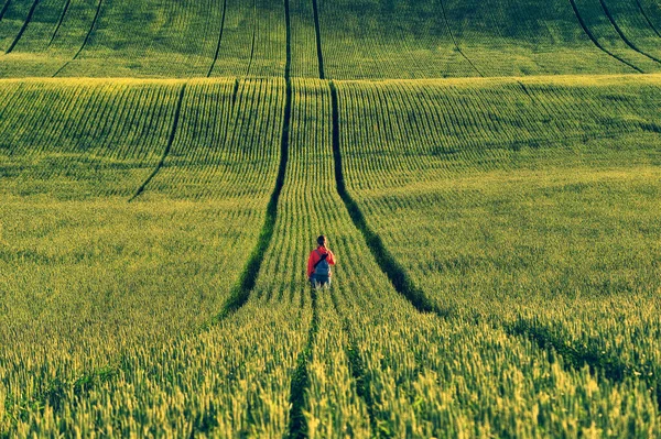 Turista Desfruta Paisagem Rural Colinas Terras Agrícolas — Fotografia de Stock