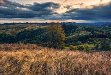 Görkemli sonbahar kırsal manzarası. Sabah sisli dağlarla kaplı manzara