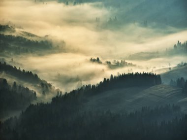 Sabah dağlarının siluetleri. Karpatlar 'da sisli bir sabah. Dağ manzarası