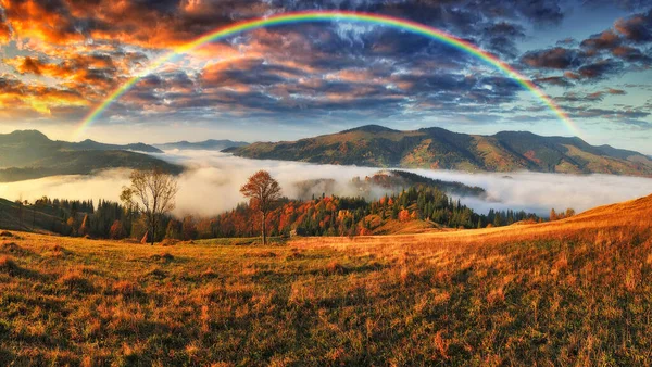 Regenbogen Über Den Bergen Herbstmorgen Den Karpaten Natur Der Ukraine — Stockfoto