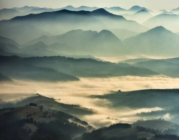 Sagome Montagne Del Mattino Mattinata Nebbiosa Nei Carpazi Paesaggio Montano — Foto Stock