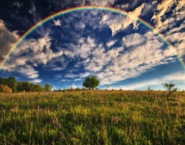 Çayırın üstünde gökkuşağı. resim gibi bir bahar sabahı. Ukrayna 'nın doğası