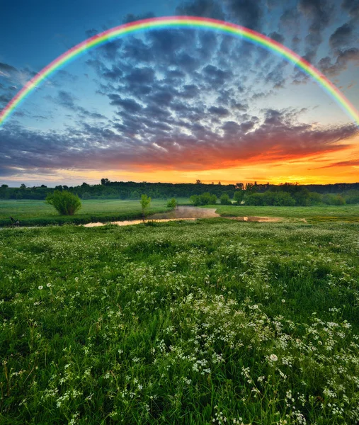 Arco Íris Sobre Prado Pitoresca Manhã Primavera Natureza Ucrânia — Fotografia de Stock