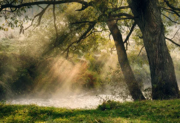 Bela Primavera Nascer Sol Sobre Margens Rio Raios Sol Rompem — Fotografia de Stock