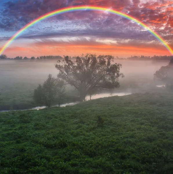 Landscape Rainbow River Spring Colorful Morning Nature Ukraine — Zdjęcie stockowe