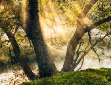 Nehir kıyısında güzel bir bahar gündoğumu. Güneş ışınları sisi delip geçiyor. Sabah sisi
