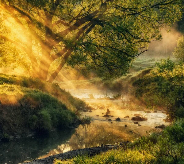 Hermoso Amanecer Primavera Sobre Las Orillas Del Río Los Rayos — Foto de Stock