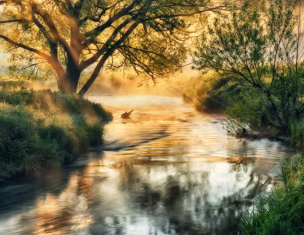 Piękny Wiosenny Wschód Słońca Nad Brzegiem Rzeki Promienie Słoneczne Przebijają — Zdjęcie stockowe