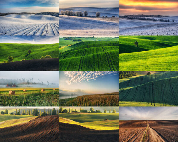 Twelve images of a hilly calendar field. Four seasons: winter, spring, summer, autumn