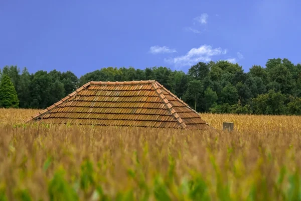 Podivný dům — Stock fotografie