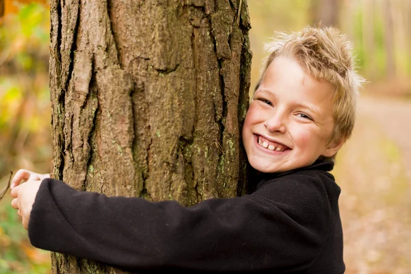 Hugging tree — Stock Photo, Image