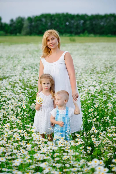 Mother Son Daughter Nature Meadow Daisies Children Mother Blooming Field — Stock Photo, Image