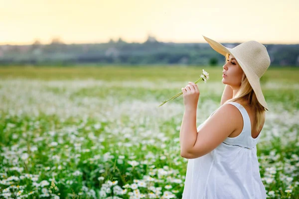 Portrait Young Plump Beautiful Woman Resting Chamomile Field Sunset Size — Stockfoto