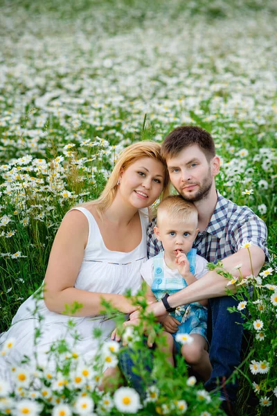 Happy Family Mom Dad Son Field Daisies Sunset People Blooming — Stock Photo, Image