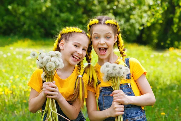 Children Walk Meadow Dandelions Girls Blow Flowers Spring Park Two Stock Image