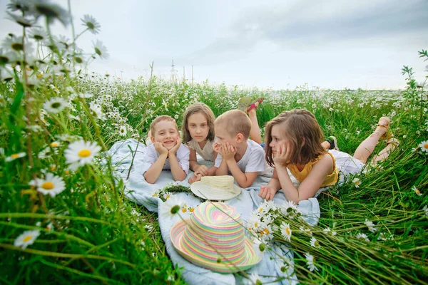 Eine Fröhliche Kindergruppe Liegt Sommer Bei Sonnenuntergang Einem Kamillenfeld Jungen — Stockfoto