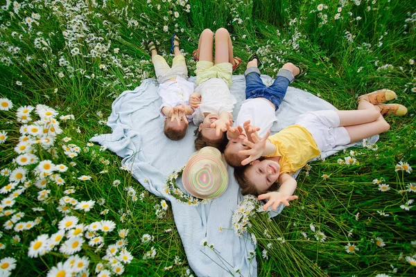 Eine Fröhliche Kindergruppe Liegt Sommer Bei Sonnenuntergang Einem Margeritenfeld Jungen — Stockfoto