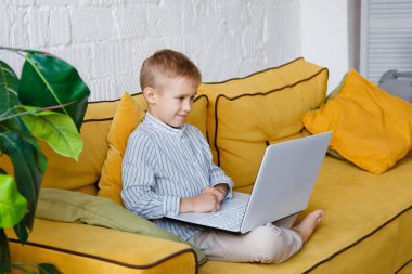 Çocuk bir dizüstü bilgisayarla sarı bir kanepede oturuyor. Dikkatlice monitöre bak..