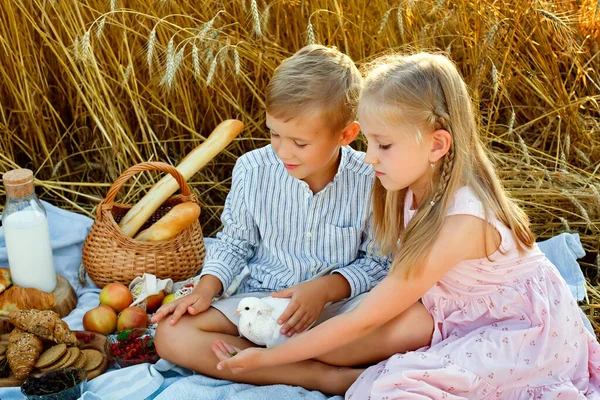 Children sit on a blanket and hold a white pigeon. A cute little boy and a cute little girl in a pink dress are playing outdoors among the wheat. Friends forever. Outdoor games and a picnic.