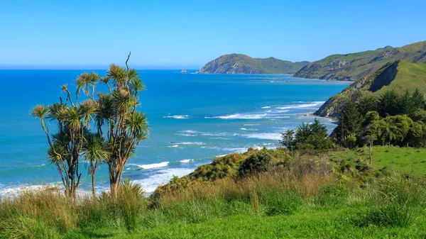 Берегова Панорама Регіоні Східний Кейп Нової Зеландії Зайнята Біля Пляжу — стокове фото