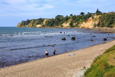 Yeni Zelanda 'daki Maketu Körfezi' nde plaj.