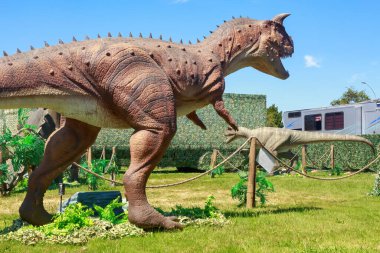 Etçil dinozorlar Carnotaurus (ön planda) ve Allosaurus 'un gezgin dinozor gösterilerindeki gerçek boyutlu modelleri. Tauranga, Yeni Zelanda, 19 Aralık 2021