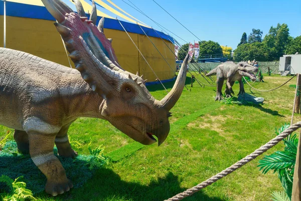 Sculpture Spectacularly Horned Dinosaur Styracosaurus Carnivorous Dinosaur Irritator Background Photographed — Stock Photo, Image