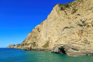 Yeni Zelanda 'nın Tolaga Körfezi kıyısındaki dik kumtaşı kayalıklarında bir deniz mağarası.