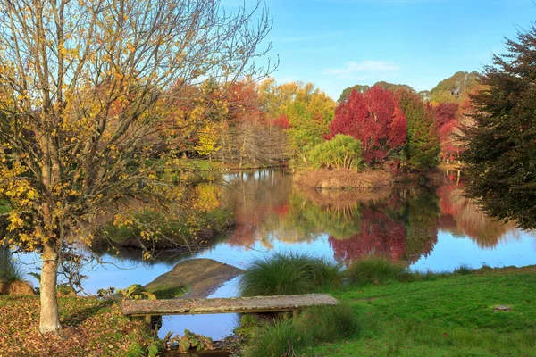 Large Garden Many Colorful Autumn Trees Reflected Ornamental Lake — Foto de Stock