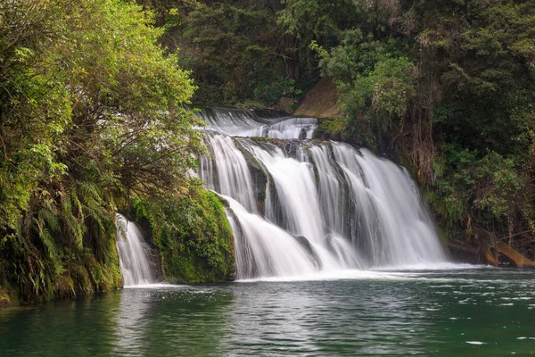 Maraetotara Falls Beautiful Waterfall Located Native Bush Hawke Bay Region — стоковое фото