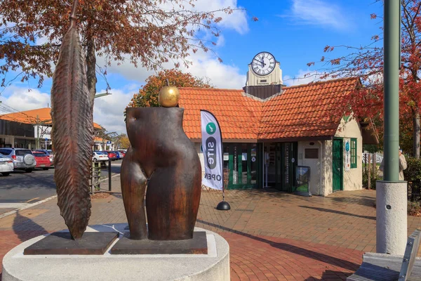 Havelock North, Yeni Zelanda 'nın küçük bir kasabasındaki ziyaretçi bilgi merkezi, eski 1914 saat kulesi binasında yer alıyor. Ön planda 
