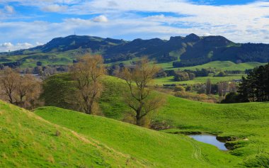 A rural autumn landscape in the North Island of New Zealand. Te Mata Peak and the Tukituki River Valley, seen from Mount Erin