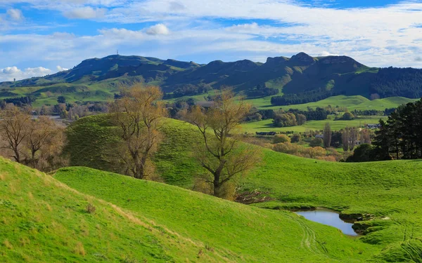 A rural autumn landscape in the North Island of New Zealand. Te Mata Peak and the Tukituki River Valley, seen from Mount Erin