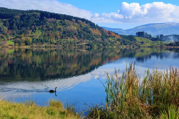 Hermoso Lago Tutira Región Hawke Bay Nueva Zelanda Una Ladera — Foto de Stock