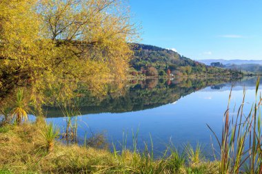 Sonbaharda Yeni Zelanda 'nın Hawke Körfezi bölgesindeki Tutira Gölü manzarası 