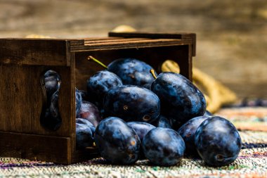 Kırsal bir kompozisyonda ahşap bir sandıkta olgun mavi erikler..