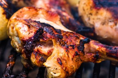 Biftek ızgara tavuk ve mangalda rulo köfte. Kamp manzarası, lezzetli barbekü, yemek konsepti, ızgaradaki yemek ve ızgaradaki yemeğin ayrıntıları.