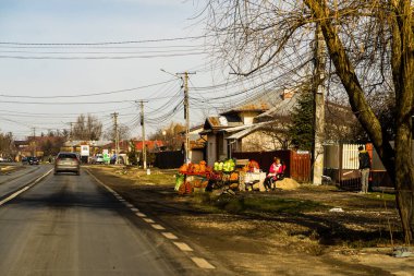 Romanya 'nın Targoviste kentinde 2021' de sebze ve meyve satan Romen köylüleri