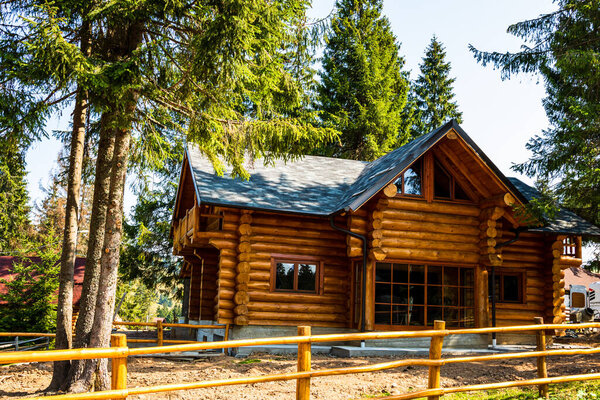 Typical wooden house between trees in the mountains in Vartop, Romania, 2021