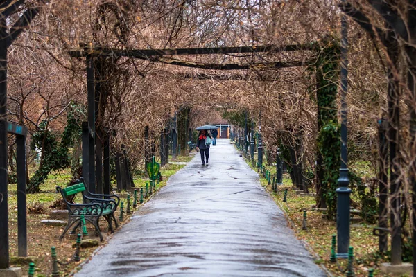 Romanya Nın Başkenti Bükreş Teki Cismigiu Parkındaki Boş Sokak — Stok fotoğraf