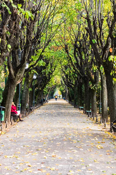 罗马尼亚首都布加勒斯特Cismigiu公园的空巷 — 图库照片