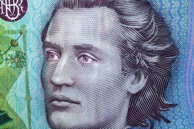 LEI banknotlarının detaylarına özen göster. Rumen LEI banknotlarının makro detaylarını kapat. Dünya para kavramı, enflasyon ve ekonomi kavramı