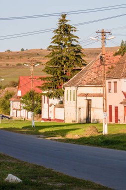 Romanya 'daki Viscri köyünün manzarası. Romanya 'nın Viscri kentindeki ortaçağ Sakson köyündeki geleneksel evleri boyamış.