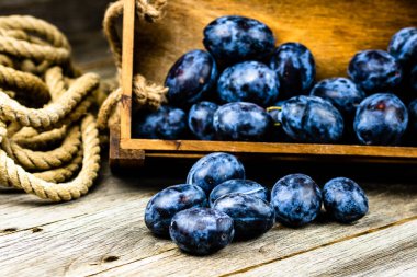 Kırsal bir kompozisyonda ahşap bir sandıkta olgun mavi erikler..