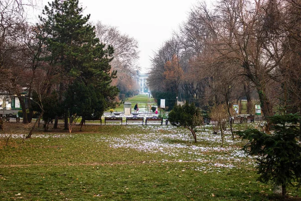 Scena Invernale Nel Parco Cismigiu Bucarest Giardini Cismigiu Situati Nel — Foto Stock