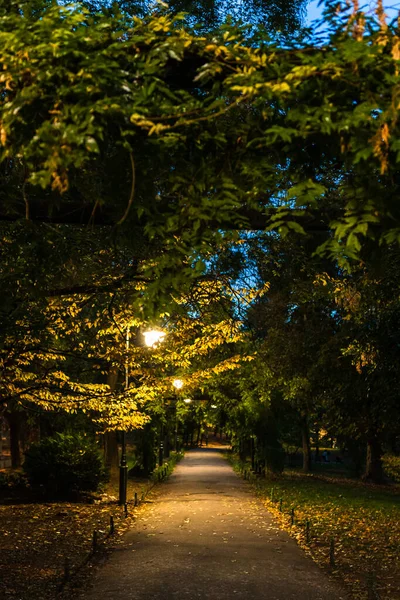 ナイトシーン シミギウガーデンズパークの暗い路地は ルーマニアのブカレストのダウンタウンで夜に 2021 — ストック写真