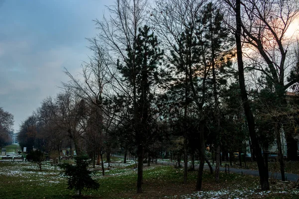 Зимняя Сцена Парке Сисмиджиу Бухарест Сады Cismigiu Расположенные Центре Бухареста — стоковое фото