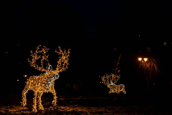 Decorazioni Natalizie Nei Giardini Del Parco Cismigiu Situato Nel Centro — Foto Stock