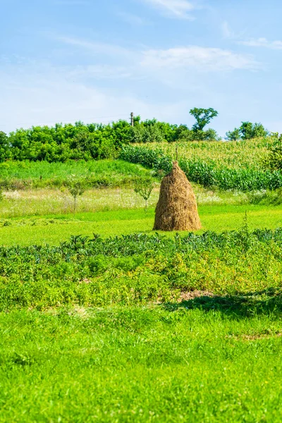 Hagyományos Kelet Európai Szénakazal Mezőn — Stock Fotó